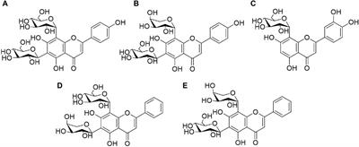 Qualitative and quantitative chemical analysis of Leptadenia hastata: exploring a traditional african medicinal plant